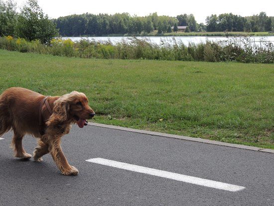 Promenada wokół Jeziora Miejskiego